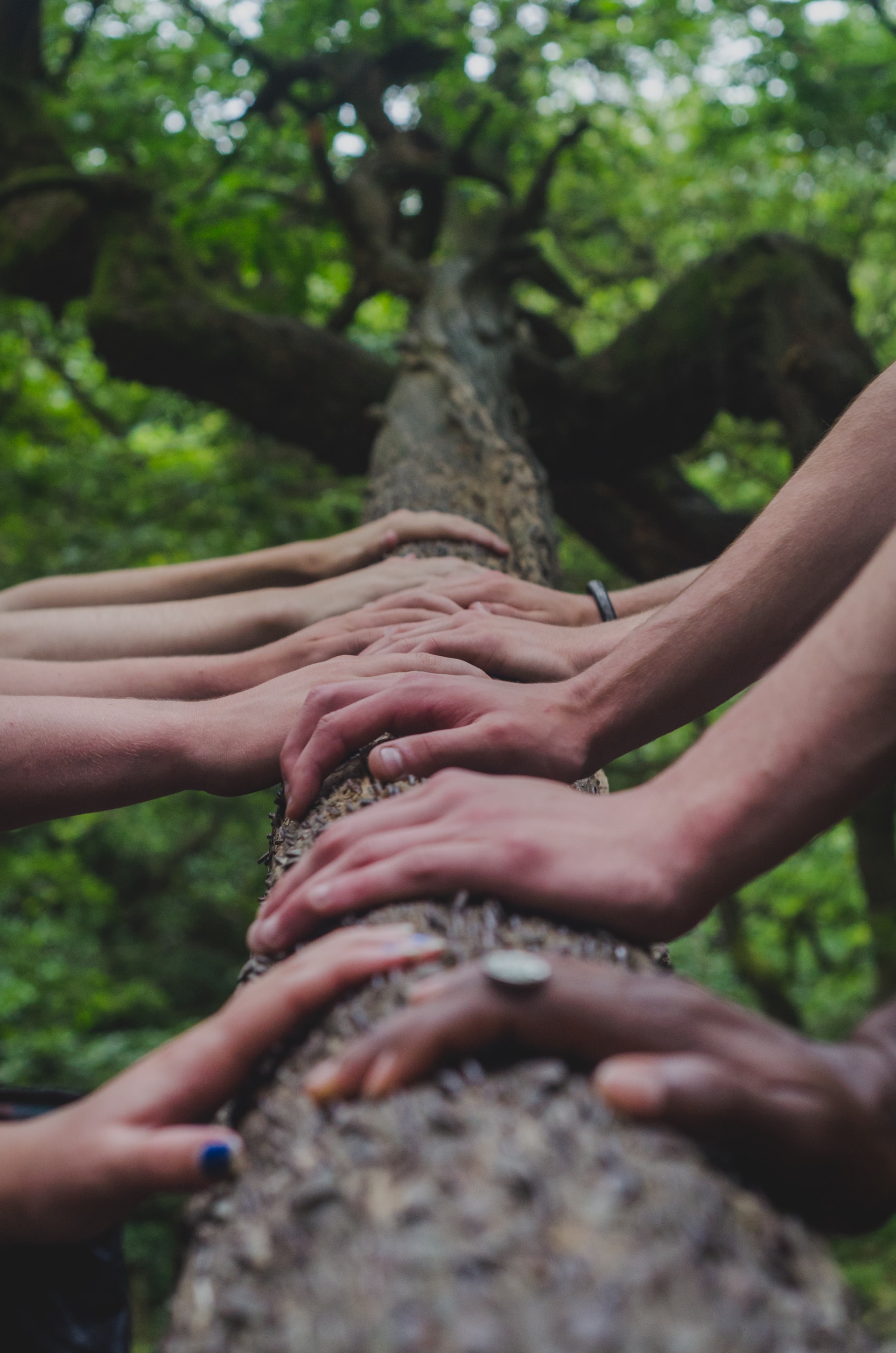 SYSTEMIC, photo: shane rounce